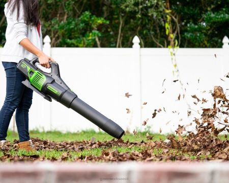 Greenworks tööriist 60 V 20-tolline juhtmeta aku hekilõikur ja 610 cfm lehepuhuri kombineeritud komplekt koos 2,0ah ja 2,5ah aku ja (2) laadijaga 8H0T4V340