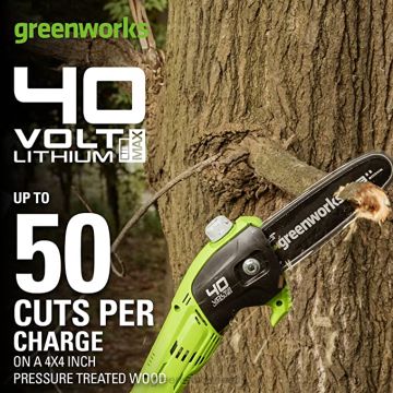 Greenworks tööriist 40v 8" juhtmeta akupostisaag 2,0 ah aku ja laadijaga 8H0T4V149