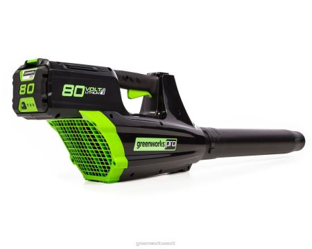 Greenworks tööriist Pro 80v 16" harjadeta trimmer ja 500cfm lehepuhur koos 2,0 ah akuga 8H0T4V83