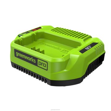 Greenworks tarvik 80v 2.0ah tavaline laadija 8H0T4V460